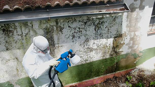 Trusted Mold Inspection service in Hollywood, MD - Cheap Mold Removal